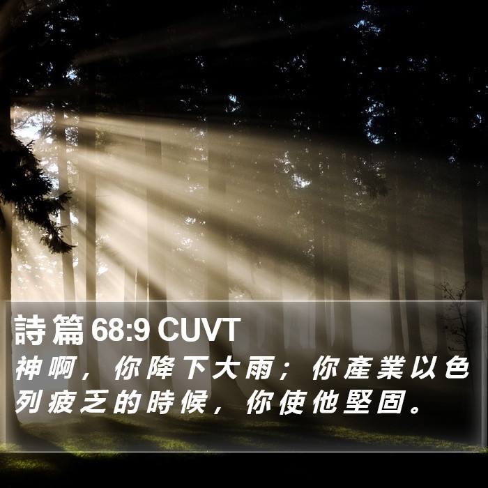 詩 篇 68:9 CUVT Bible Study
