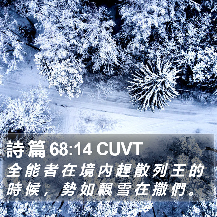 詩 篇 68:14 CUVT Bible Study