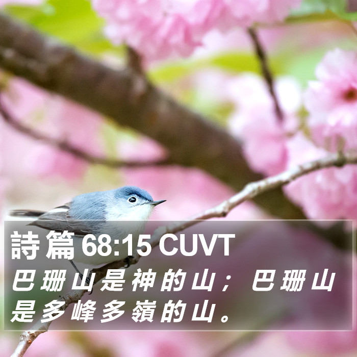 詩 篇 68:15 CUVT Bible Study