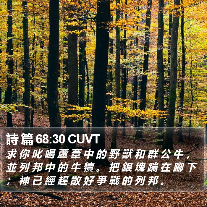 詩 篇 68:30 CUVT Bible Study