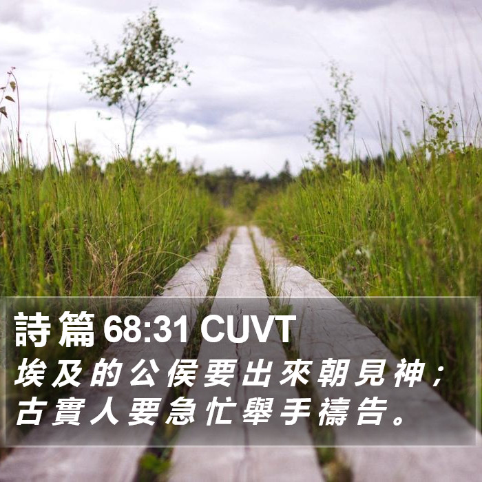 詩 篇 68:31 CUVT Bible Study