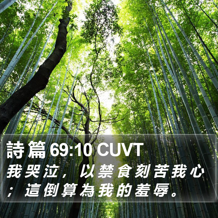 詩 篇 69:10 CUVT Bible Study