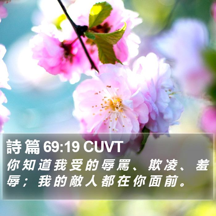 詩 篇 69:19 CUVT Bible Study