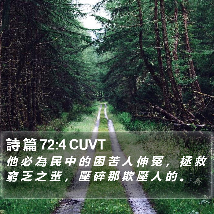 詩 篇 72:4 CUVT Bible Study