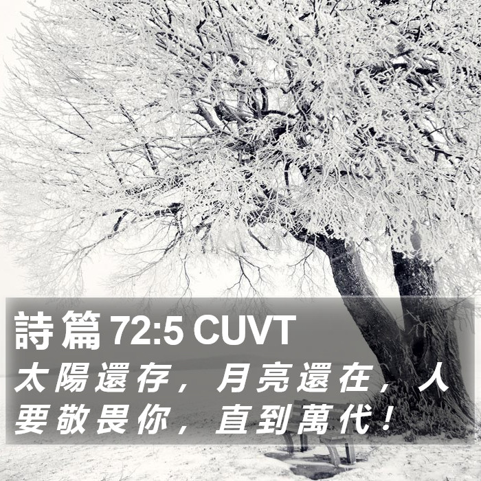 詩 篇 72:5 CUVT Bible Study