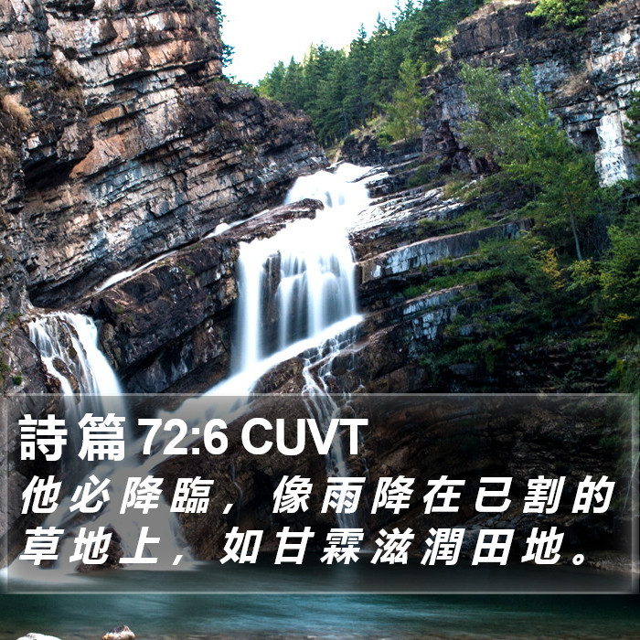 詩 篇 72:6 CUVT Bible Study