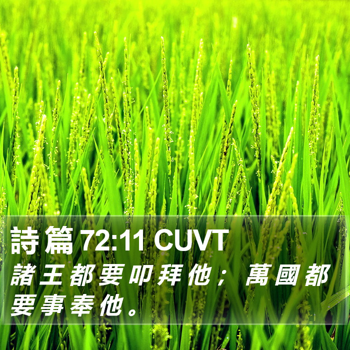 詩 篇 72:11 CUVT Bible Study