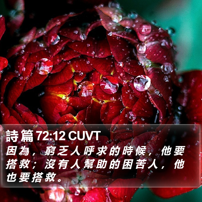詩 篇 72:12 CUVT Bible Study