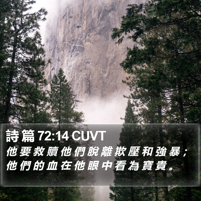 詩 篇 72:14 CUVT Bible Study