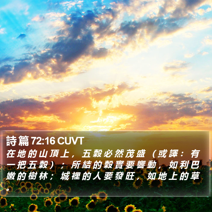 詩 篇 72:16 CUVT Bible Study