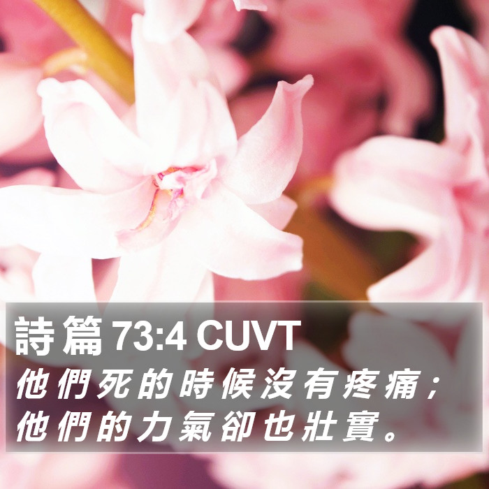 詩 篇 73:4 CUVT Bible Study