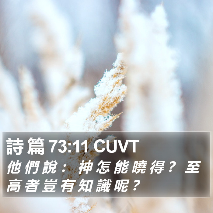 詩 篇 73:11 CUVT Bible Study