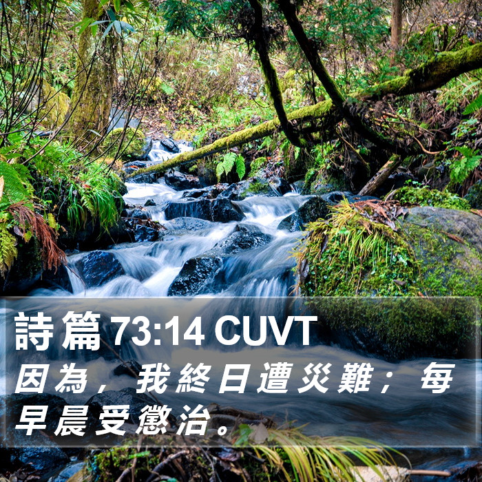 詩 篇 73:14 CUVT Bible Study