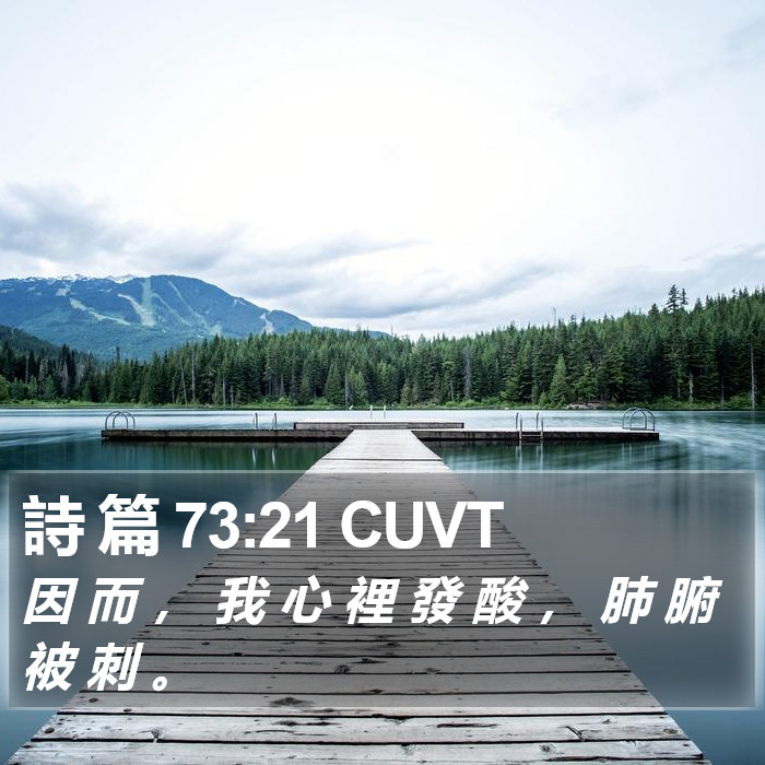 詩 篇 73:21 CUVT Bible Study
