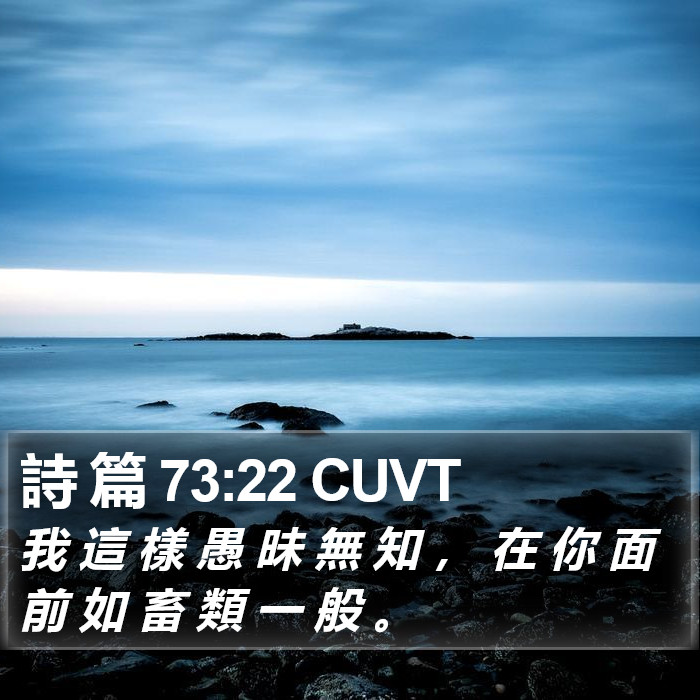 詩 篇 73:22 CUVT Bible Study