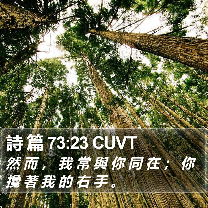 詩 篇 73:23 CUVT Bible Study