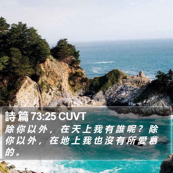 詩 篇 73:25 CUVT Bible Study