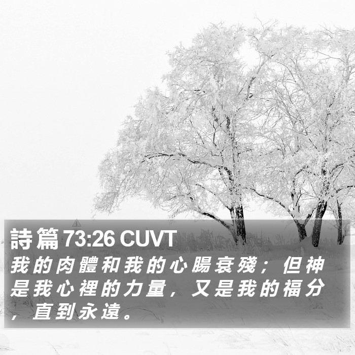 詩 篇 73:26 CUVT Bible Study