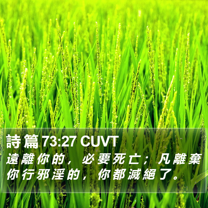 詩 篇 73:27 CUVT Bible Study
