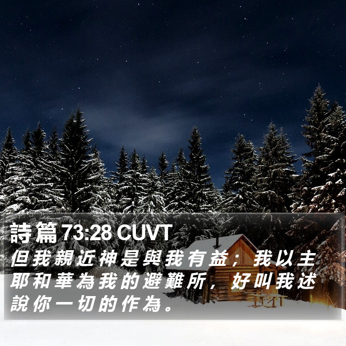 詩 篇 73:28 CUVT Bible Study