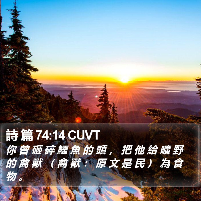 詩 篇 74:14 CUVT Bible Study