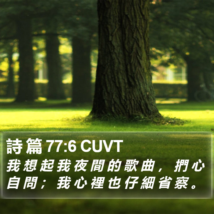 詩 篇 77:6 CUVT Bible Study