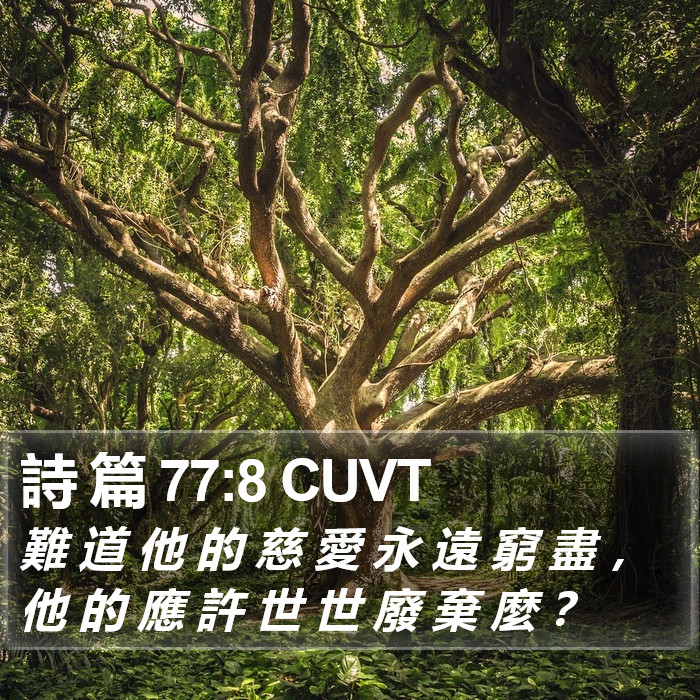 詩 篇 77:8 CUVT Bible Study