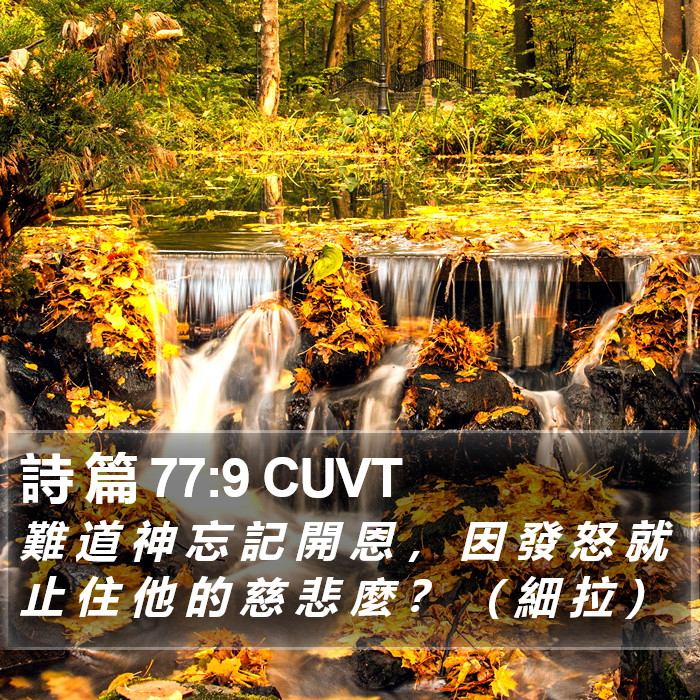 詩 篇 77:9 CUVT Bible Study