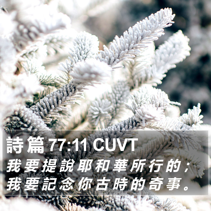 詩 篇 77:11 CUVT Bible Study