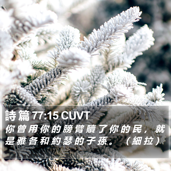 詩 篇 77:15 CUVT Bible Study