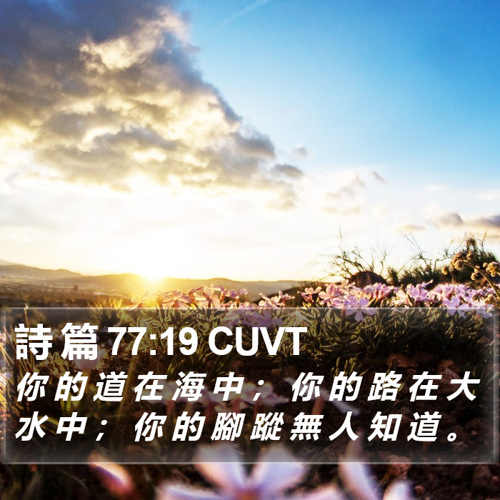 詩 篇 77:19 CUVT Bible Study