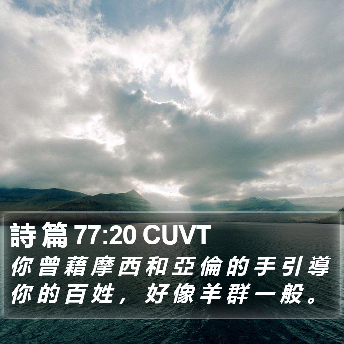 詩 篇 77:20 CUVT Bible Study