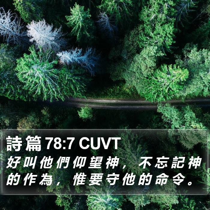 詩 篇 78:7 CUVT Bible Study