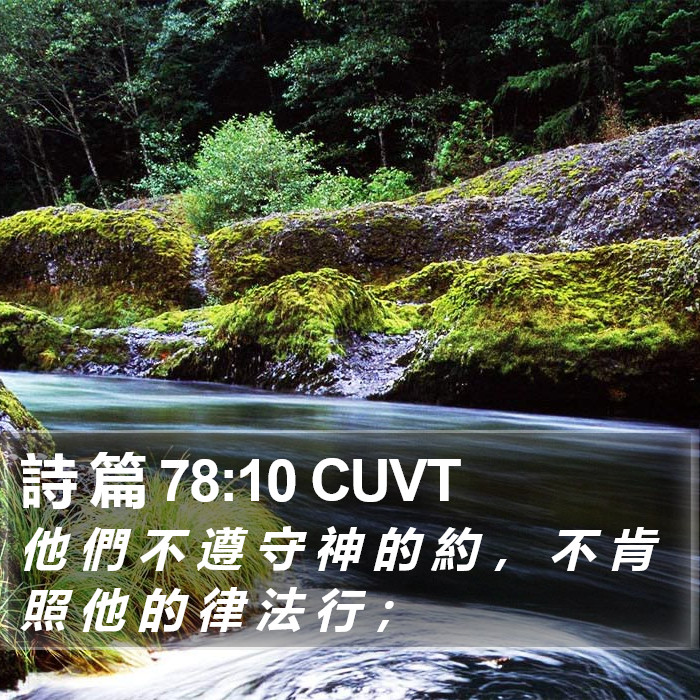 詩 篇 78:10 CUVT Bible Study