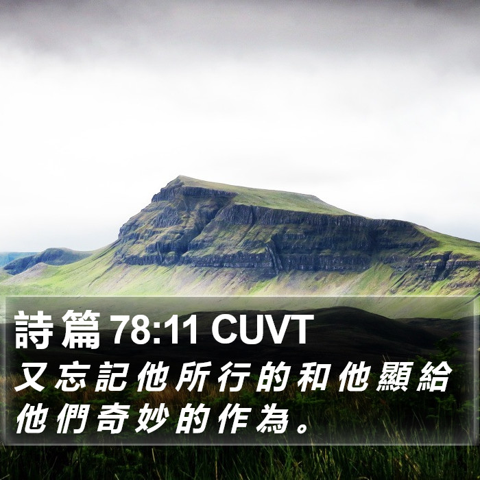 詩 篇 78:11 CUVT Bible Study
