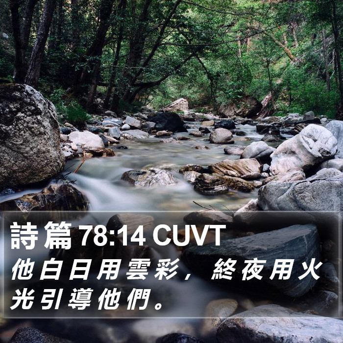 詩 篇 78:14 CUVT Bible Study