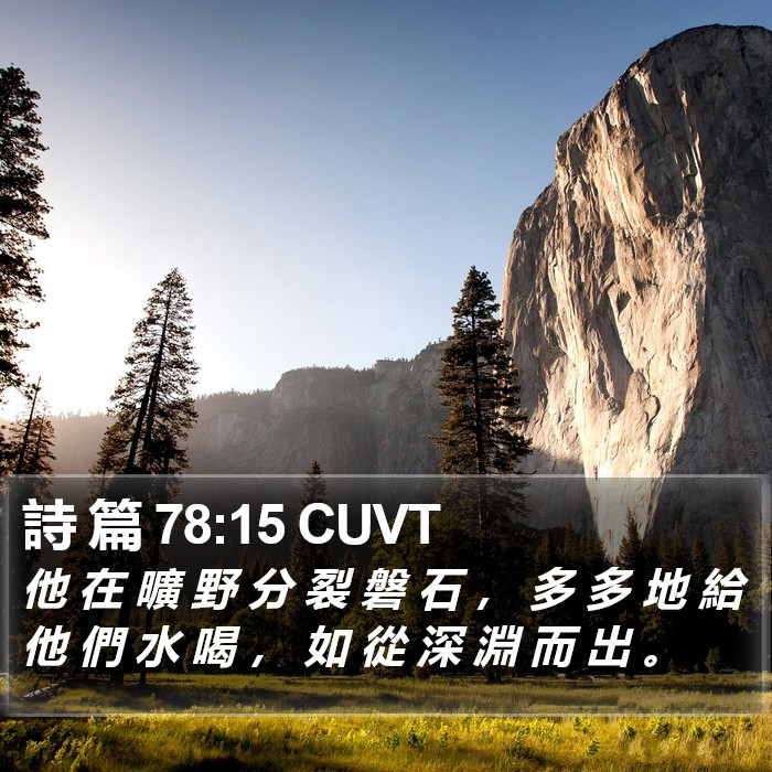 詩 篇 78:15 CUVT Bible Study