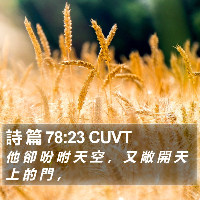 詩 篇 78:23 CUVT Bible Study
