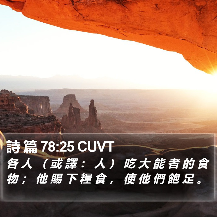 詩 篇 78:25 CUVT Bible Study