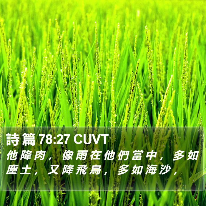 詩 篇 78:27 CUVT Bible Study