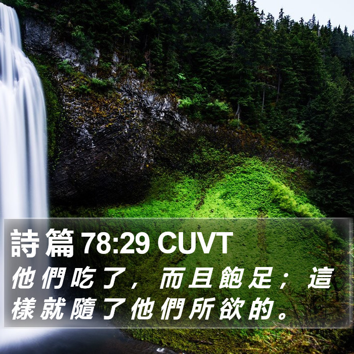 詩 篇 78:29 CUVT Bible Study