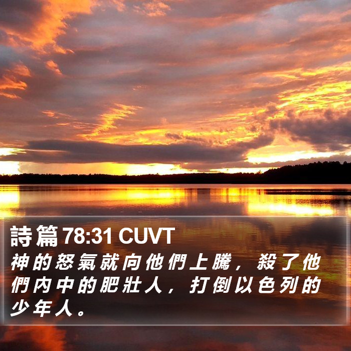 詩 篇 78:31 CUVT Bible Study