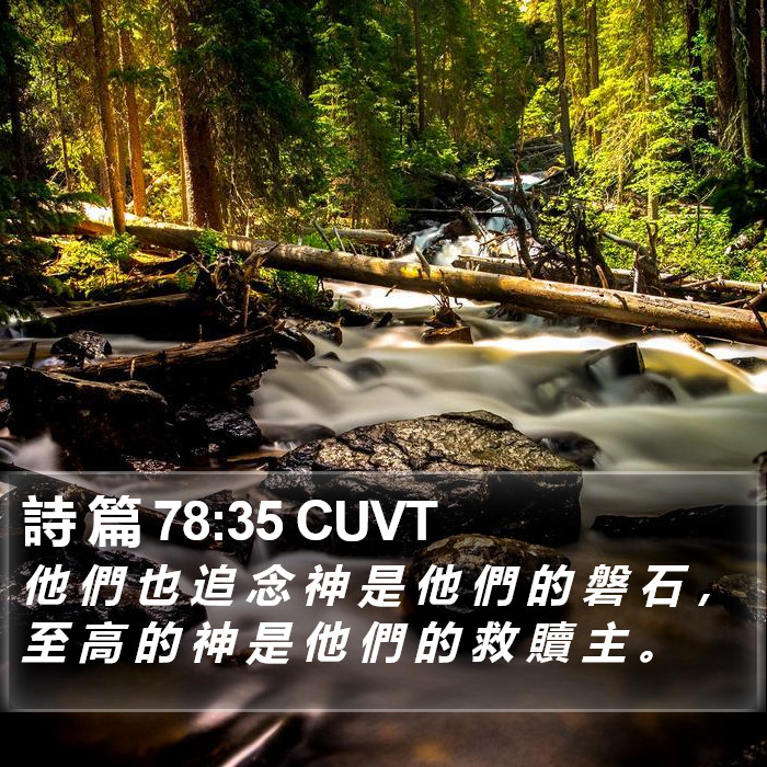詩 篇 78:35 CUVT Bible Study