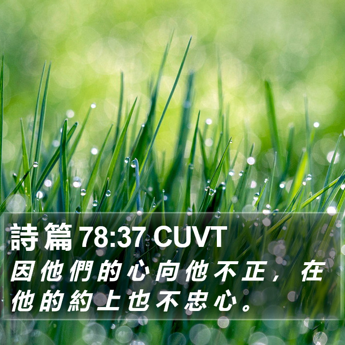 詩 篇 78:37 CUVT Bible Study