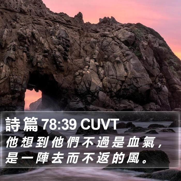 詩 篇 78:39 CUVT Bible Study