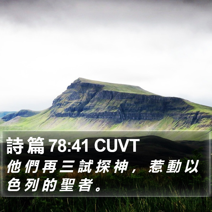 詩 篇 78:41 CUVT Bible Study