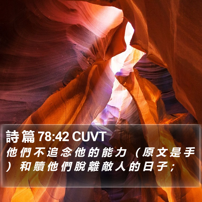 詩 篇 78:42 CUVT Bible Study