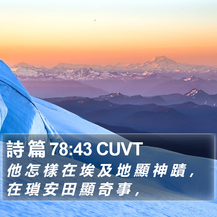 詩 篇 78:43 CUVT Bible Study