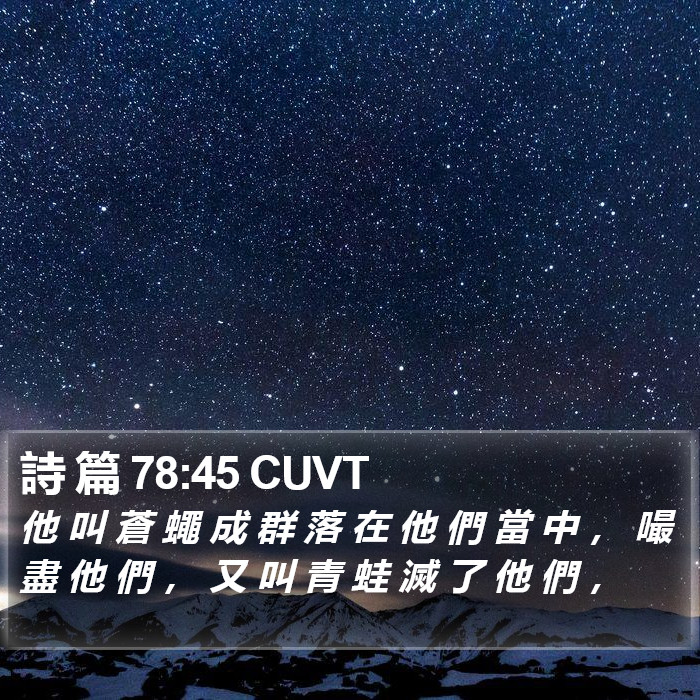 詩 篇 78:45 CUVT Bible Study