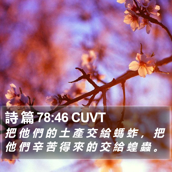 詩 篇 78:46 CUVT Bible Study